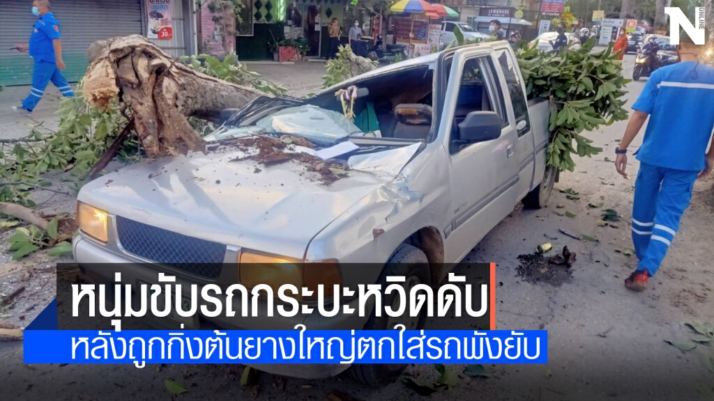 กิ่งต้นยางใหญ่ตกใส่รถกระบะ-คนขับเจ็บ 1 คน