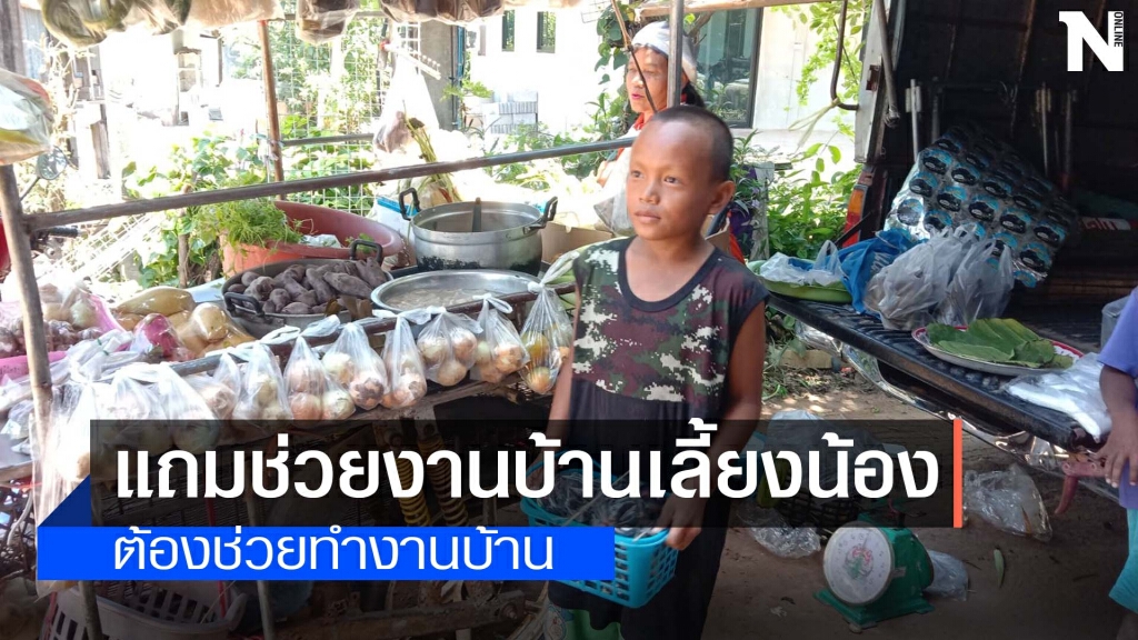 ชื่นชมเด็กชายป.5ช่วยยายเก็บผักขายสู้โควิด ชื่นชมเด็กชายป.5ช่วยยายเก็บผักขายสู้โควิด