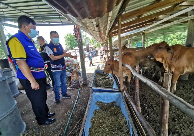 เร่งควบคุมป้องกันโรค "ลัมปี สกิน"พบวัว ติดเชื้อกว่า 2,360 ตัว