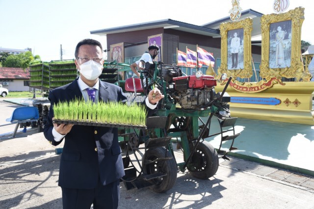 กรมการข้าว จัดเทิดพระเกียรติยิ่งใหญ่ เชิญชมนิทรรศการออนไลน์ งานวันข้าวและชาวนา 2564