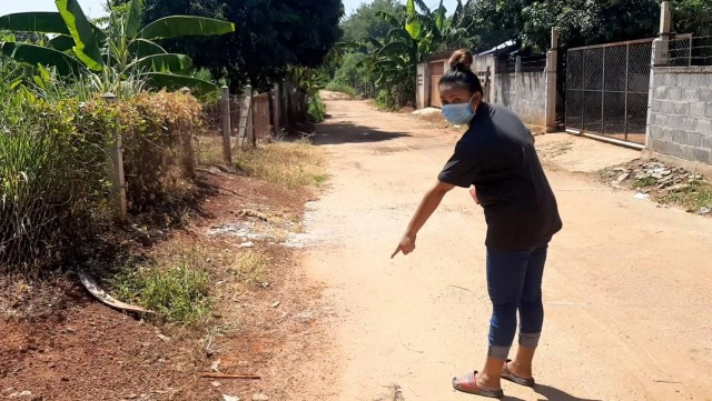 สุนัขแมวโดนวางยาเบื่อ ตายยกซอย