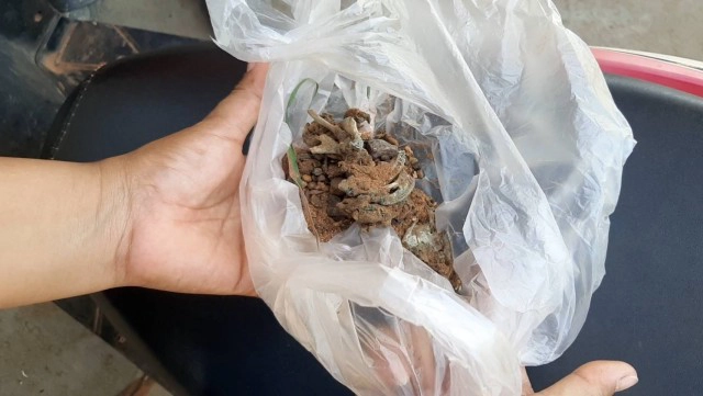 สุนัขแมวโดนวางยาเบื่อ ตายยกซอย