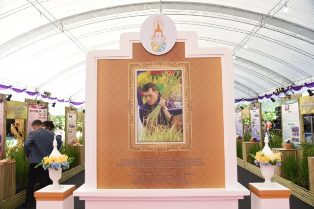 กรมการข้าว จัดเทิดพระเกียรติยิ่งใหญ่ เชิญชมนิทรรศการออนไลน์ งานวันข้าวและชาวนา 2564