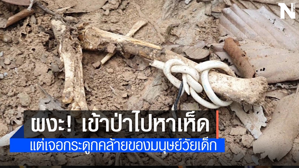 แทบช็อก ชาวบ้านเข้าป่าหาเห็ด กลับเจอโครงกระดูกชิ้นส่วนคล้ายคน