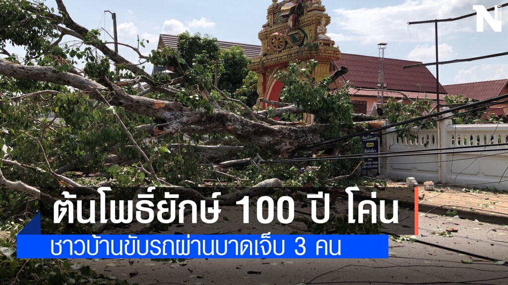 ต้นโพธิ์อายุ 100 ปี โค่นทับกำแพงวัด บาดเจ็บ 3 คน