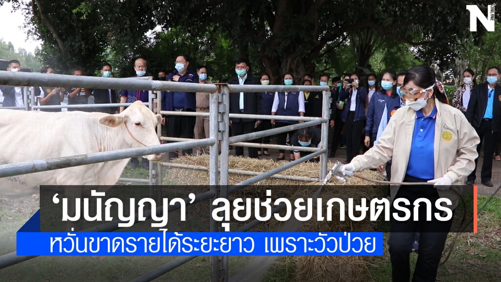 "มนัญญา" รมช.เกษตรฯ เร่งช่วยโค-กระบือที่ติดลัมปีสกินหวั่นเกษตรกรขาดรายได้