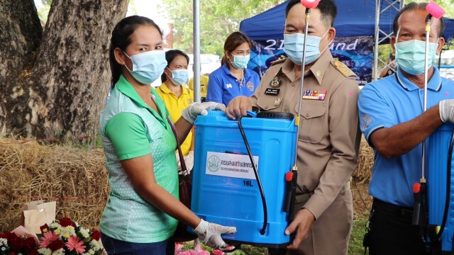 "มนัญญา" รมช.เกษตรฯ เร่งช่วยโค-กระบือที่ติดลัมปีสกินหวั่นเกษตรกรขาดรายได้