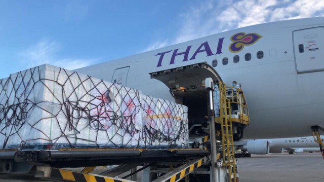 รัฐบาลจีนบริจาควัคซีน "ซิโนแวค" ให้ไทยอีก 5 แสนโดส