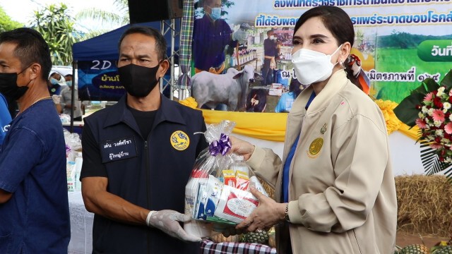 "มนัญญา" รมช.เกษตรฯ เร่งช่วยโค-กระบือที่ติดลัมปีสกินหวั่นเกษตรกรขาดรายได้