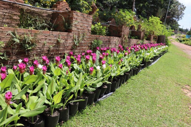 วิสาหกิจท่องเที่ยวเผยสูญเงินนับล้าน