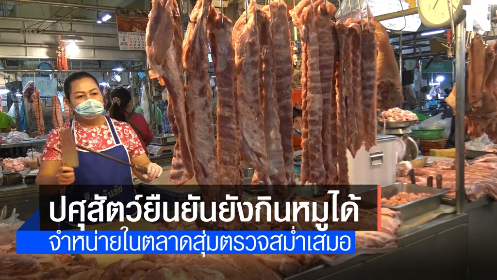 ปศุสัตว์สงขลายันเนื้อหมูที่จำหน่ายปลอดภัย ปศุสัตว์สงขลายันเนื้อหมูที่จำหน่ายปลอดภัย