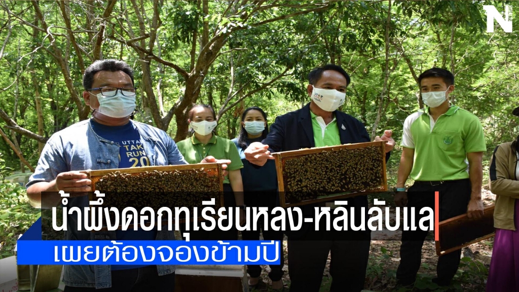 จองข้ามปี!น้ำผึ้งดอกทุเรียนหลง-หลินลับแล