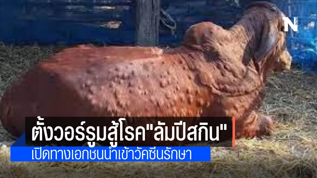 ตั้งวอร์รูม จัดการโรค"ลัมปีสกิน" เข้มชายแดนป้องกันลักลอบนำเข้า เปิดทางเอกชนนำเข้าวัคซีนรักษา