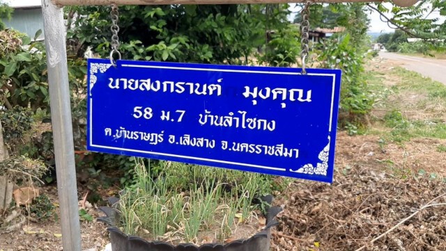 ฮือฮาตุ๊กแก2หาง! ชาวบ้านจับได้จากศาลเจ้าที่กลางป่า