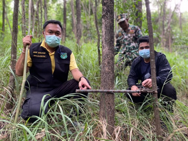 เก็บกู้กับดักสัตว์ป่าในพื้นที่รอยต่อผืนป่ามรดกโลกแห่งที่ 5