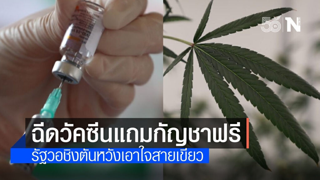 "วอชิงตัน" จัดแคมเปญเอาใจสายเขียว ฉีดวัคซีนแลกรับ "กัญชา" ฟรี