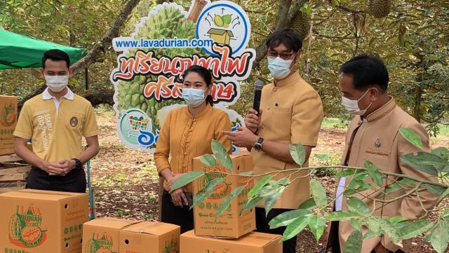 เปิดสวนทุเรียนดินภูเขาไฟ ต้อนรับพิเศษผู้ฉีดวัคซีนครบ 2 เข็ม