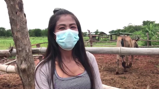 ลัมปีสกินยังระบาดหนัก เกษตรกรวอนรัฐช่วยเหลือด่วน