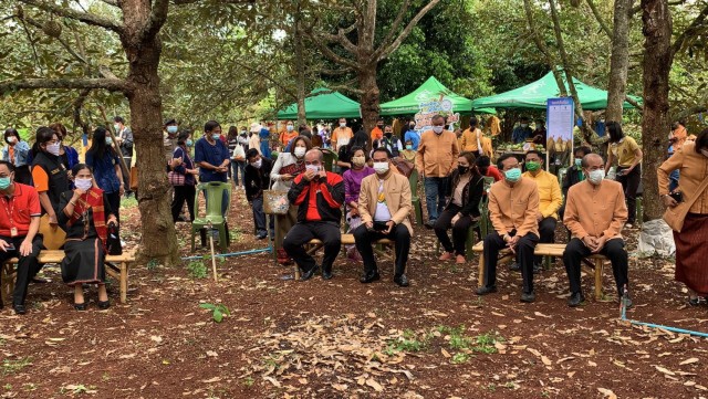 เปิดสวนทุเรียนดินภูเขาไฟ ต้อนรับพิเศษผู้ฉีดวัคซีนครบ 2 เข็ม