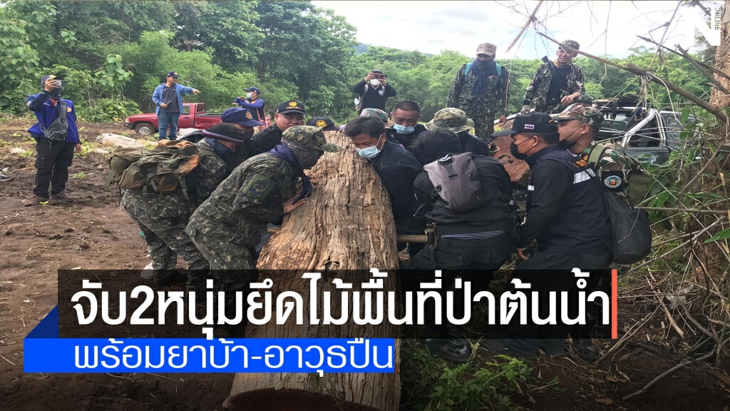 จับ2หนุ่มยึดไม้เถื่อนพื้นที่ป่าต้นน้ำ จับ2หนุ่มยึดไม้เถื่อนพื้นที่ป่าต้นน้ำ