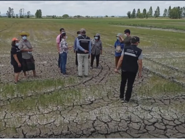 "ส.ส.พีระวิทย์"วอน "นายกฯ"เร่งช่วยเหลือชาวนาขาดแคลนน้ำ