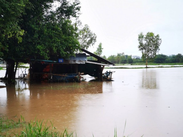 ฝนตกต่อเนื่องน้ำป่าเขาภูพานลำพะยังเอ่อท่วมนาข้าวเกษตรกร