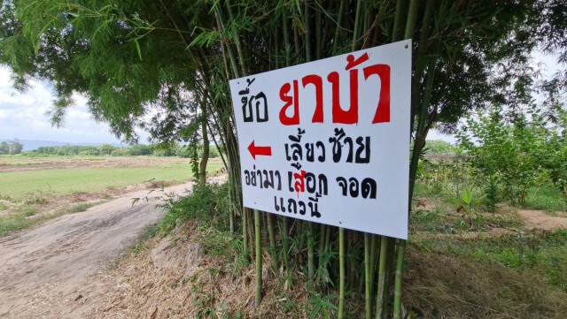 เปิดปฏิบัติการ"ฟ้าสางที่บ้านกลาง"