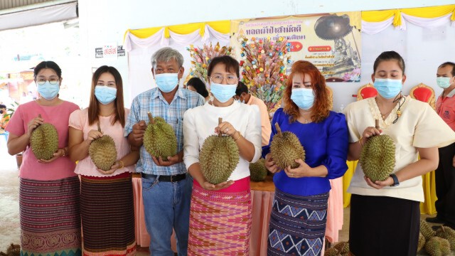 ชาวสวนลับแล"ทอดผ้าป่าทุเรียน"จ้างครูสอนลูกหลาน