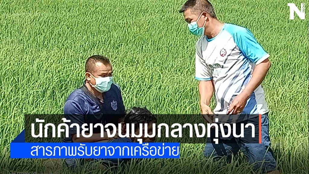 ตร.ตะครุบหนุ่มค้ายาบ้ากลางทุ่งนา ตร.ตะครุบหนุ่มค้ายาบ้ากลางทุ่งนา