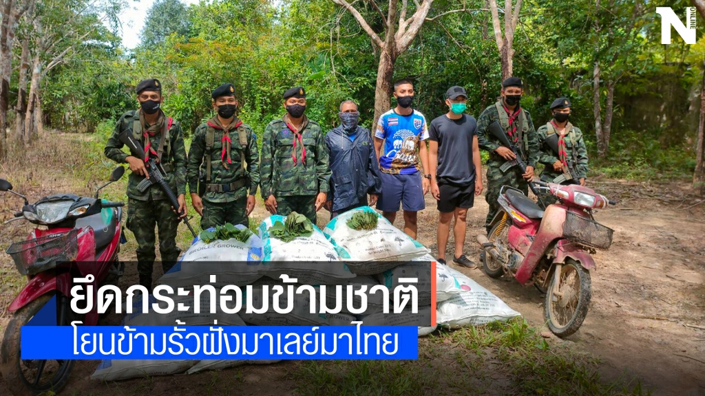 ยึดใบกระท่อมข้ามชาติ 360 กก. ยึดใบกระท่อมข้ามชาติ 360 กก.
