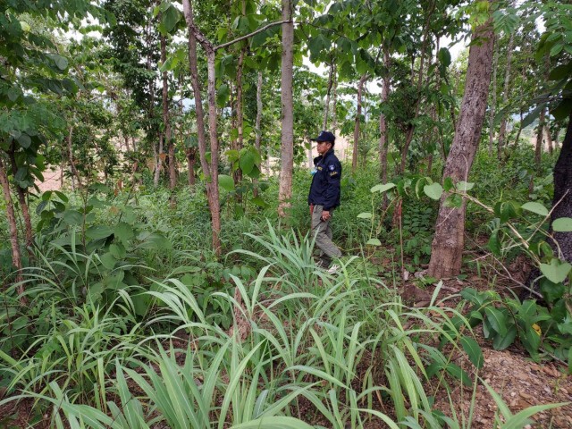ป.ป.ท.ลงพื้นที่วังเหนือตรวจสอบโครงการฟื้นฟูป่าต้นน้ำฯ