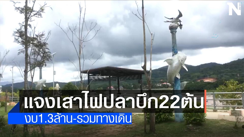 แจงเสาไฟปลาบึกงบ1.3ล้าน-รวมทางเดิน