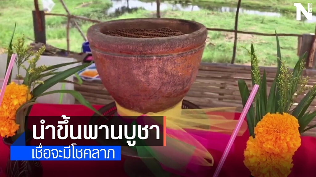 สุดแปลก!ผึ้งทำรังในครก7รัง แห่ส่องเลขเด็ด สุดแปลก!ผึ้งทำรังในครก7รัง แห่ส่องเลขเด็ด