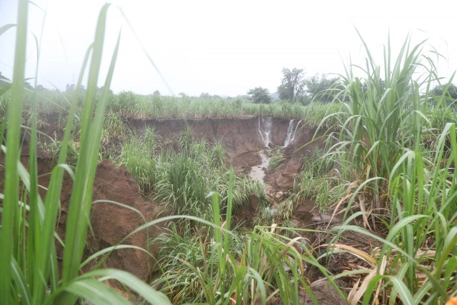 ตรวจสอบหลุมยุบในไร่อ้อย 15 หลุม พบชั้นใต้ดินหินปูนสึกกร่อน
