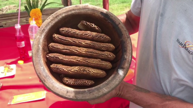 สุดแปลก!ผึ้งทำรังในครก7รัง แห่ส่องเลขเด็ด