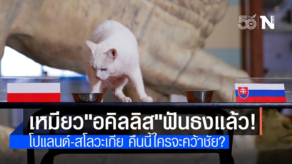 "อคิลลิส" ทายผลเกมโปแลนด์-สโลวะเกีย เผยฟันธง 2 เกมก่อนหน้าถูกหมด