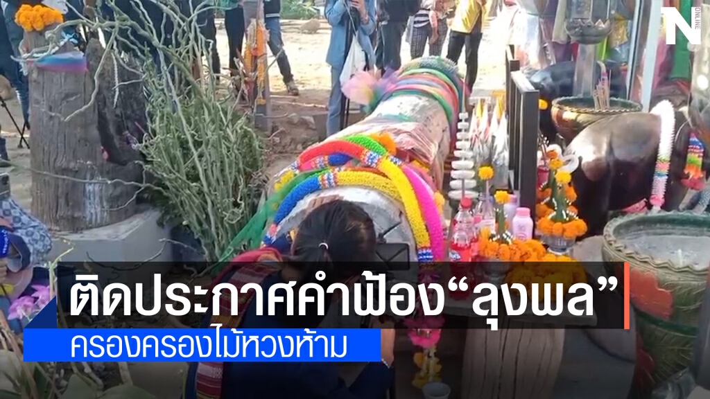 จนท.ป่าไม้ติดประกาศคำสั่งฟ้อง "ลุงพล" คดีครอบครองไม้หวงห้าม