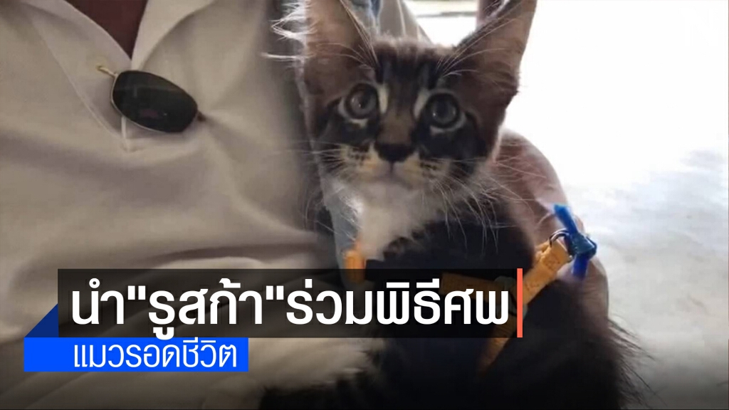 งานศพสาวเหยื่อเก๋งสปอร์ตสุดเศร้า ญาตินำ"รูสก้า"ร่วมพิธี