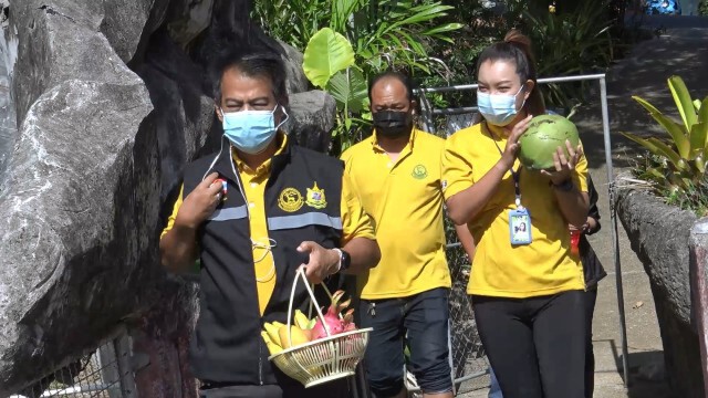 "ลิงชิมแพนซี" ร่วมทายผลบอลยูโร