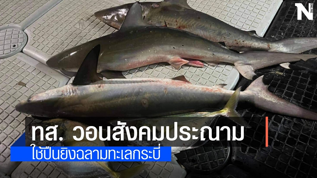 "วราวุธ" วอนสังคมประณาม พฤติกรรมใช้ปืนยิงฉลาม