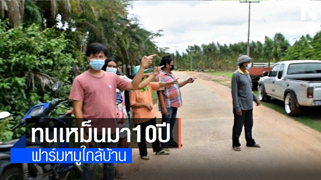 โวย ฟาร์มหมูห่างจากหมู่บ้านเพียง 100 เมตร ส่งกลิ่นเหม็น
