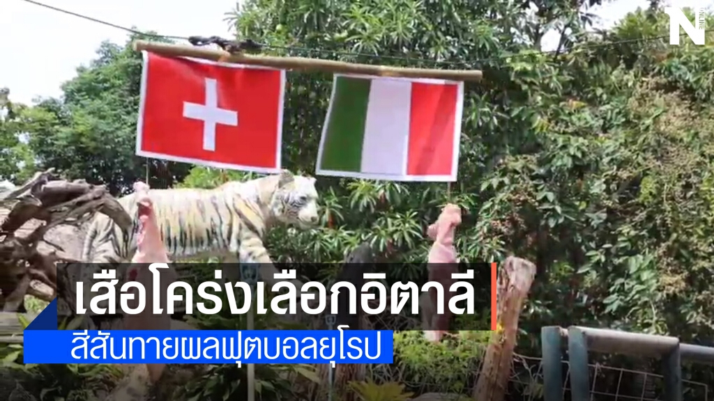 สวนสัตว์โคราช จัดกิจกรรมทายผลบอลยุโรป สวนสัตว์โคราช จัดกิจกรรมทายผลบอลยุโรป
