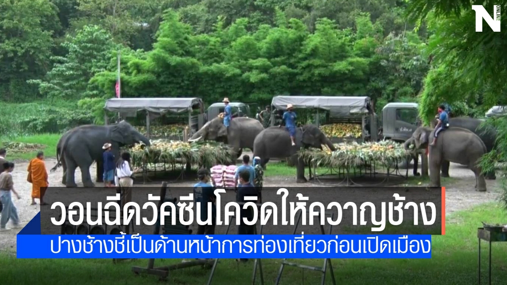ขอโควตาฉีดวัคซีนควาญช้างรับแซนด์บ็อกซ์