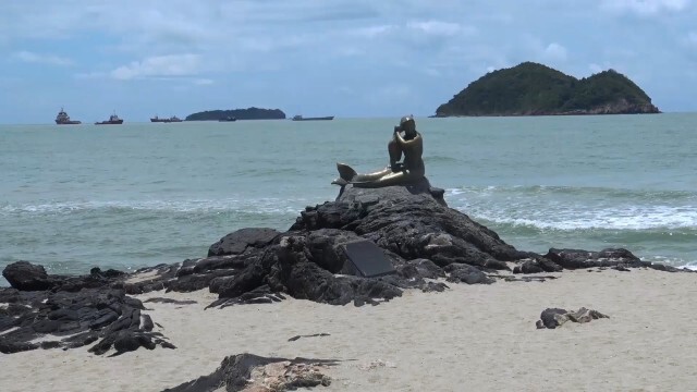 ปิด "เกาะหนู-เกาะแมว" ฝ่าฝืนปรับ-จำคุก