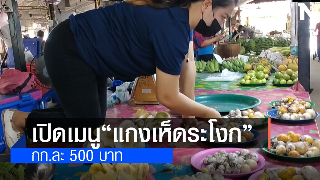 เห็ดป่าต้นฤดูราคาแรง กก.ละ 500 บาท สร้างรายได้งาม เห็ดป่าต้นฤดูราคาแรง กก.ละ 500 บาท สร้างรายได้งาม