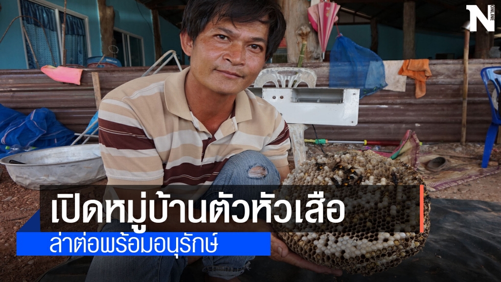เปิดหมู่บ้านเลี้ยงต่อหัวเสือขายทำเงินสู้โควิด