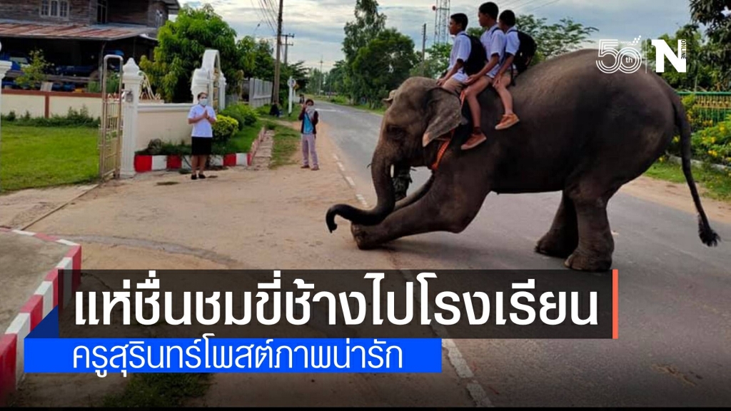 ภาพน่ารัก!! ครูสุรินทร์โพสต์ภาพนักเรียนขี่ช้างไปโรงเรียน ภาพน่ารัก!! ครูสุรินทร์โพสต์ภาพนักเรียนขี่ช้างไปโรงเรียน