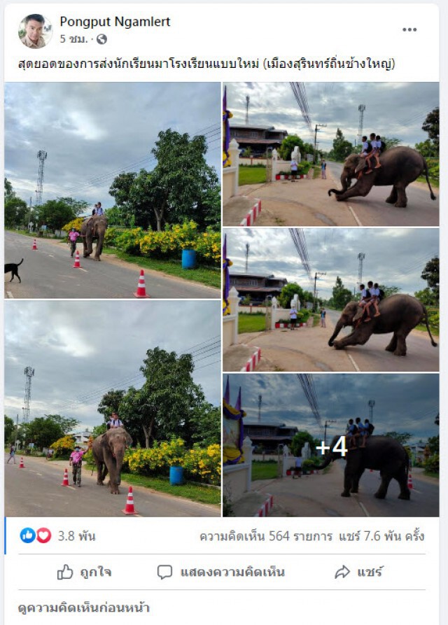 ภาพน่ารัก!! ครูสุรินทร์โพสต์ภาพนักเรียนขี่ช้างไปโรงเรียน