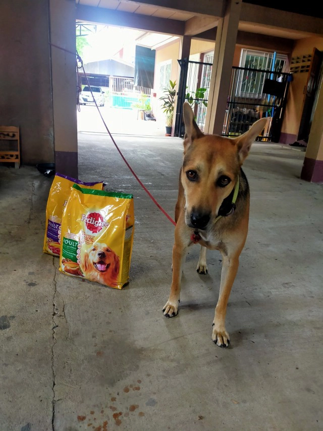 "ดิว" ขอโทษชาวบ้านจุดพลุ 200 นัด ฉลองวันเกิด พร้อมรับผิดชอบ