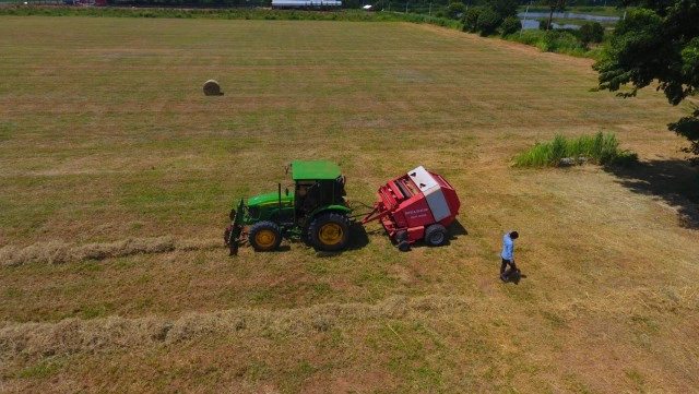 ฟาร์มโคนมโคราชเข้มลัมปี สกิน ปศุสัตว์เร่งกระจายวัคซีน